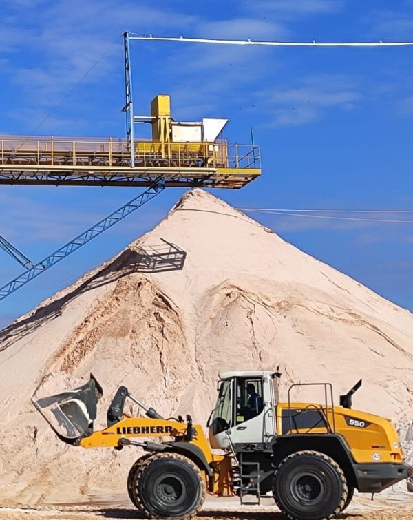 bc2e2c21-1829-4b6e-be10-8608983b46ac